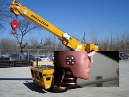 Broderson Carry Deck Cranes