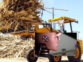 Bull HP 60 Smart Loader